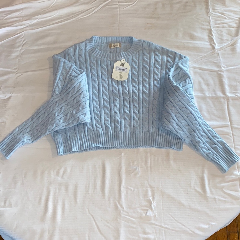 Pretty light blue cropped sweater from altar’d state.